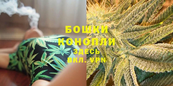 бошки Санкт-Петербург